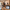 Open House → Referral Machine