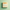 Beige spiral-bound calendar on a light green background