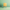 Yellow canvas on a wooden easel against a green background