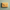 Yellow envelope on a green background