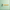 Wrench on a light green background