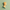 3D model of a man's head on a light green background