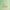 Wooden geometric shapes on a light green background