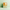 Vintage computer with a pastel green base and orange screen on a matching background